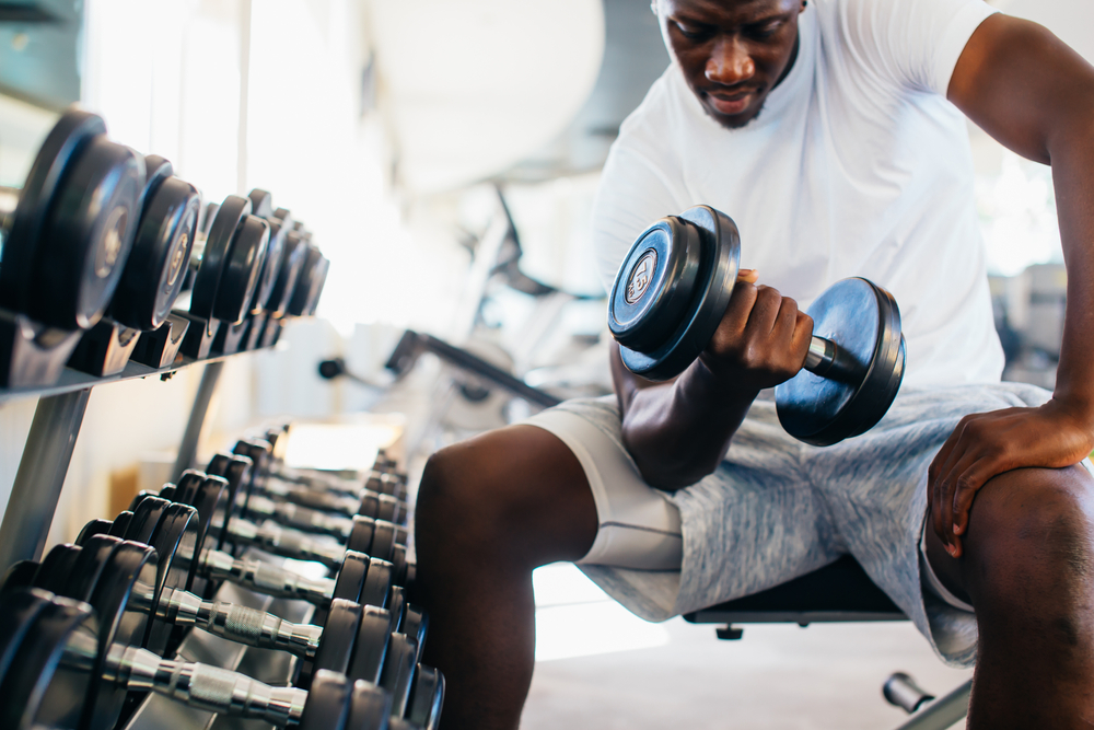 man doing concentration curls on a weight bench