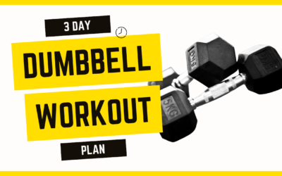 3 Day Dumbbell Workout Plan