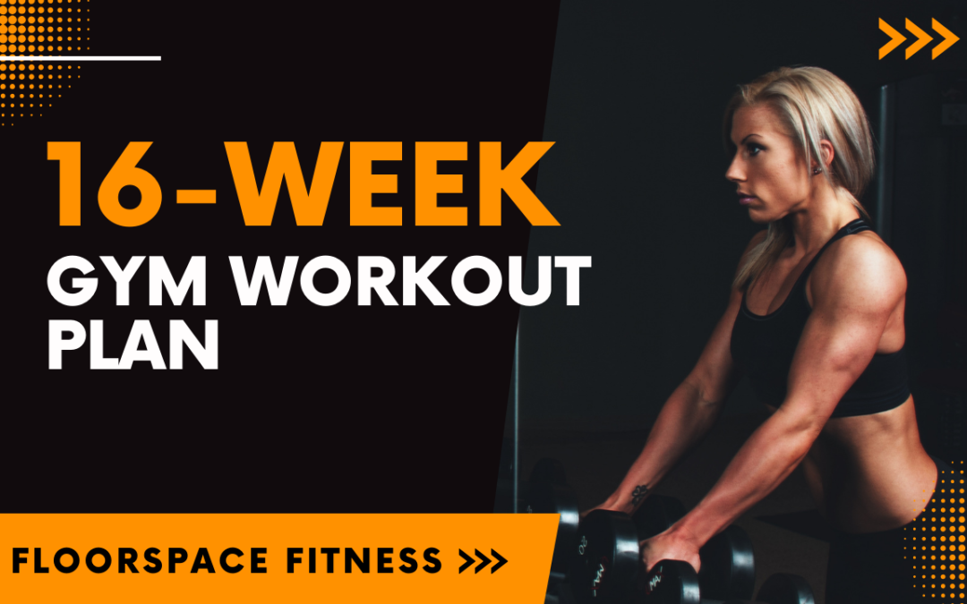 16-Week Gym Workout Plan (4 Months of Free Workouts!)